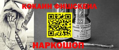 гидра Камышлов