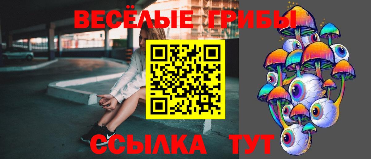 Галлюциногенные грибы мухоморы Магадан